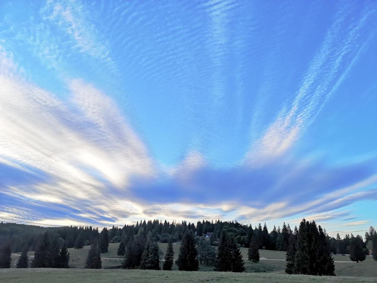 The Evergreen Nest - Silver Mountain Poiana Brasov Exteriör bild