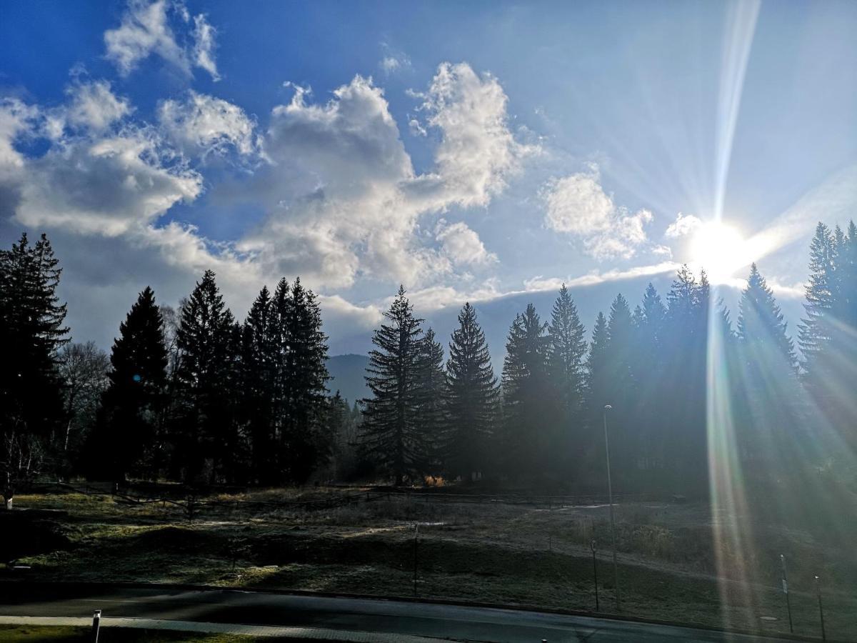 The Evergreen Nest - Silver Mountain Poiana Brasov Exteriör bild